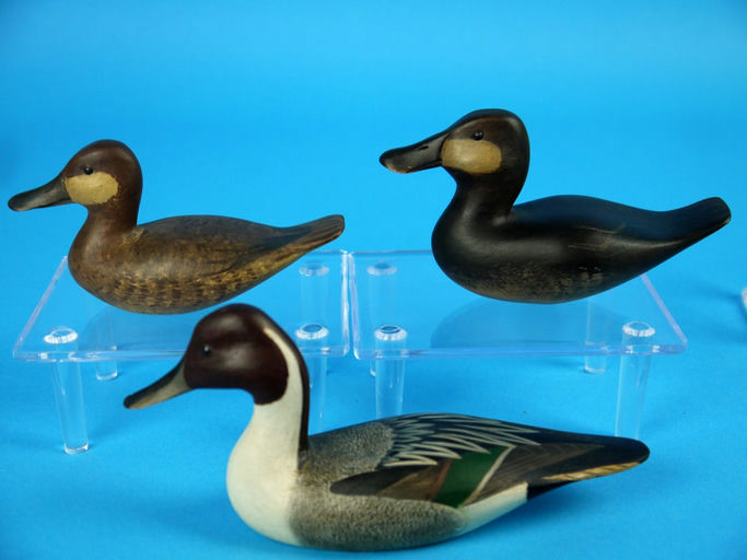 William Bill Johnson – Miniature Pintail Drake/ Two Ruddy Ducks – 2026