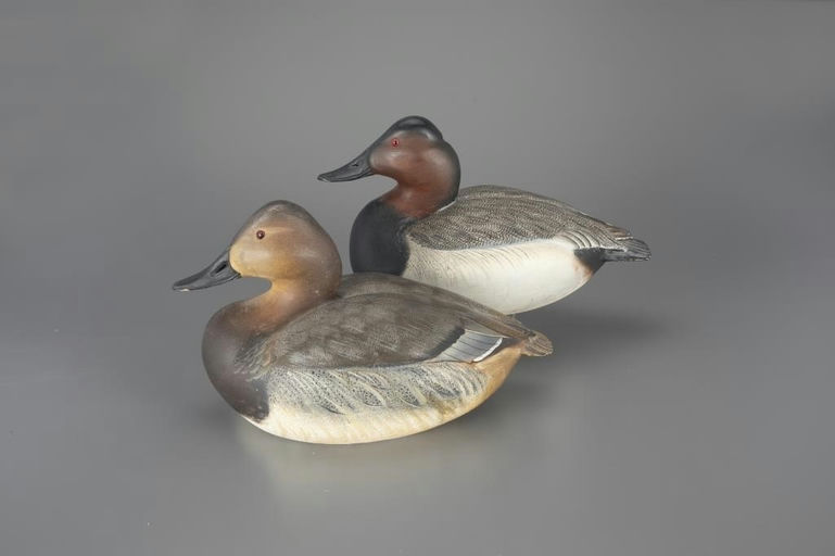 Ward Brothers – Oversize Canvasback Pair – 2025