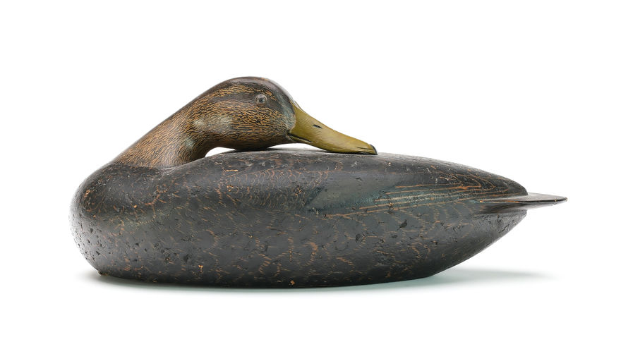 Louis Rathmell – Black Duck – 2025