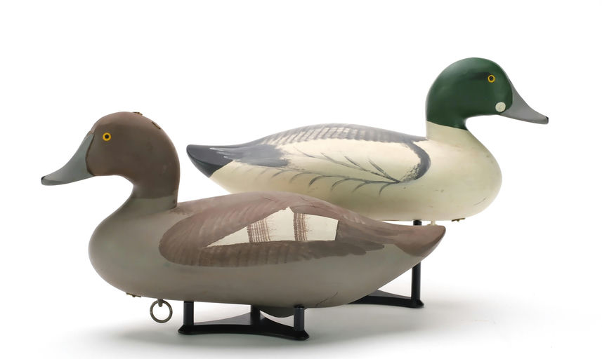 R. Madison Mitchell – Pair of Goldeneye – 2024