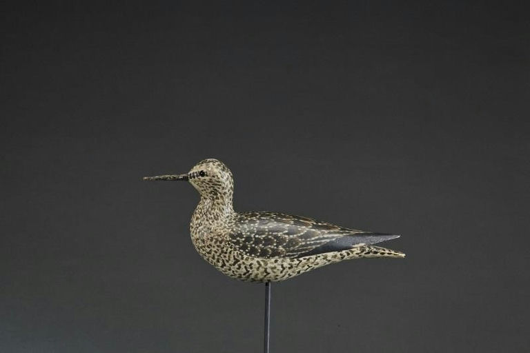 Elmer Crowell – Rare Willet – 2017