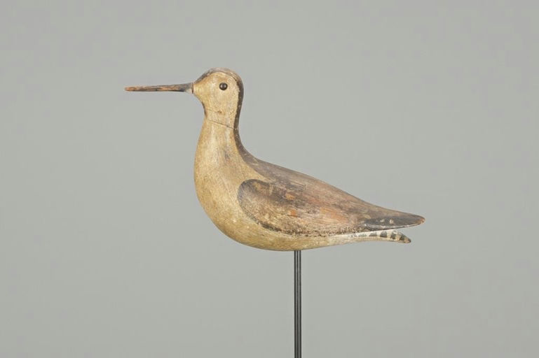 Lothrop Holmes – Dowitcher – 2018