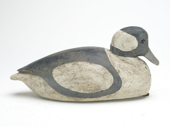 Reggie Birch – Bufflehead – 2023