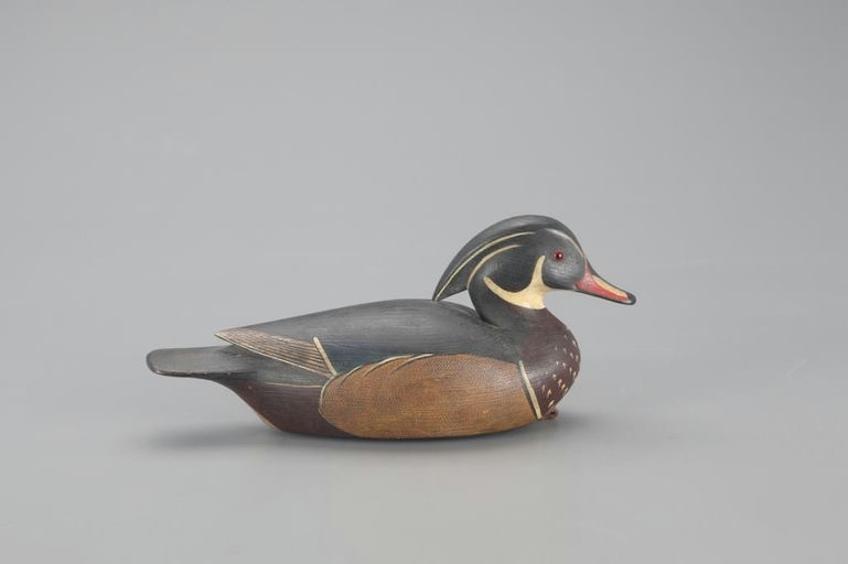 Ian McNair – Wood Duck – 2021