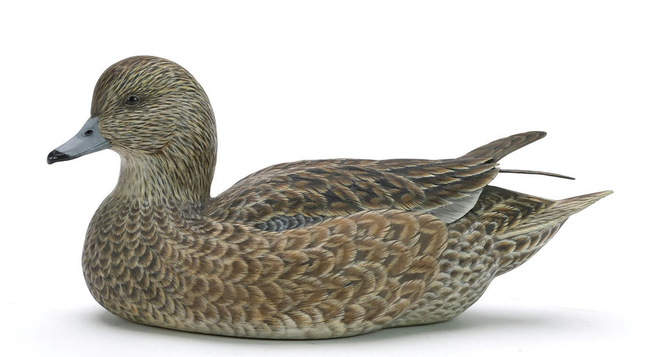 Ben A. Heinemann – Wigeon – 2024