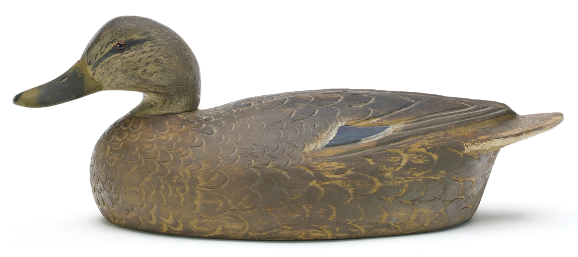 Ben Schmidt – Black Duck – 2025