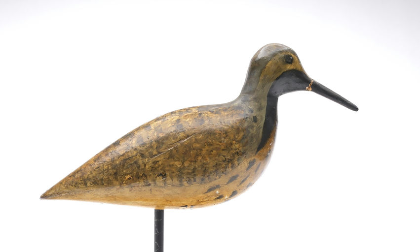Harry V. Shourds – Black Bellied Plover – 2026