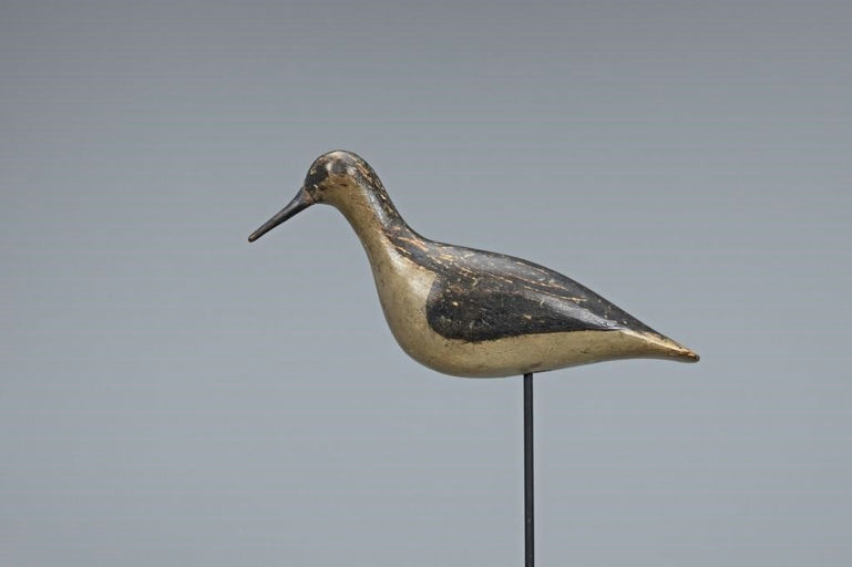 Lloyd Parker – Rare Yellowlegs – 2019