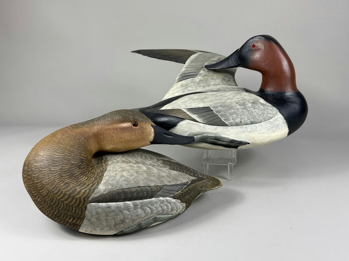Corb Reed – Canvasback – 2026