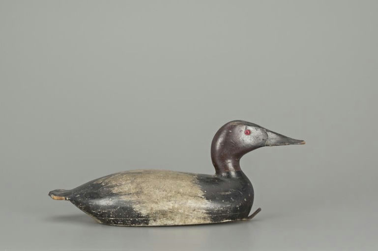 Robert Heath – Hollow Canvasback Drake – 2018