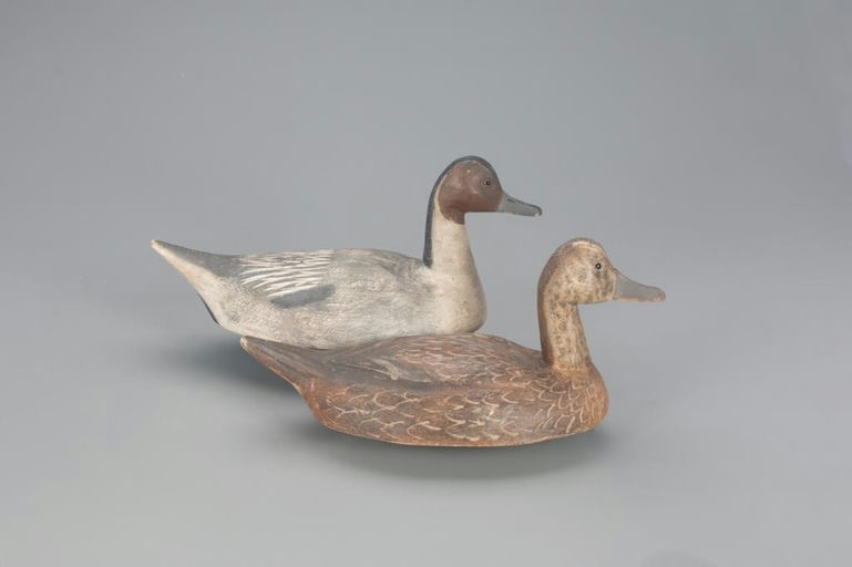 Joseph Shimon – Pintail Pair – 2021