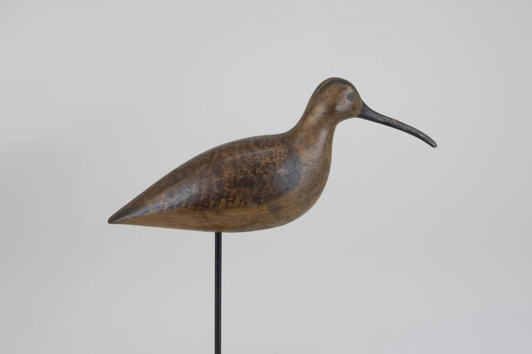 Harry V. Shourds – Curlew – 2026
