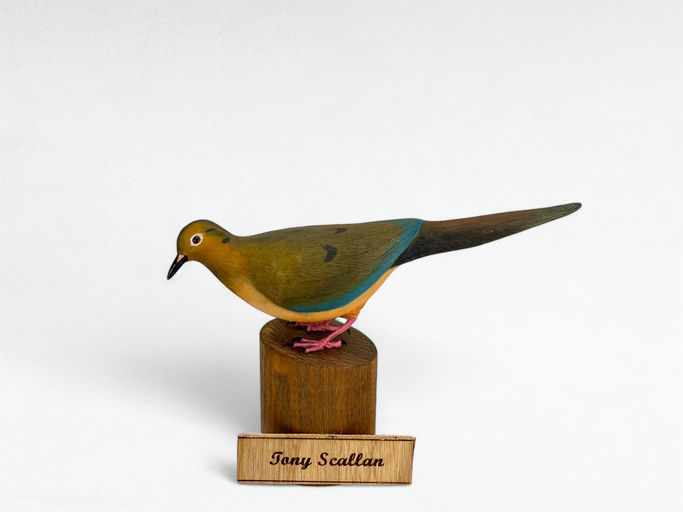 Tony Scallan — Decorative Dove