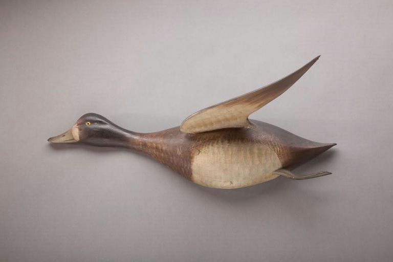 Chauncey Wheeler – Flying Broadbill Hen – 2012