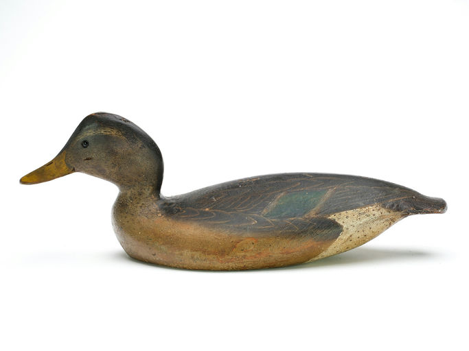 Ward Brothers – Mallard – 2025