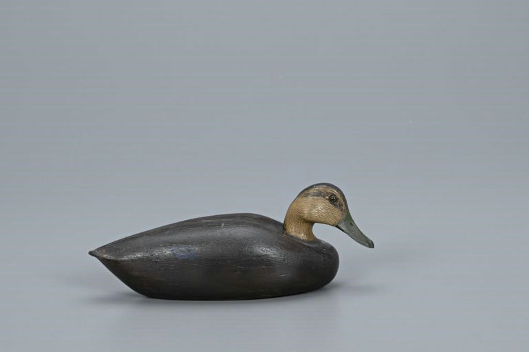 Shang Wheeler – Rare Miniature Black Duck – 2019