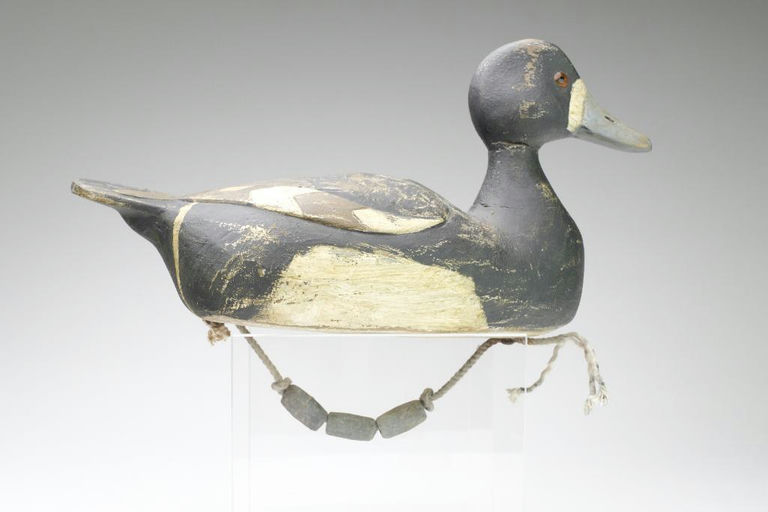 Reggie Birch – Scaup – 2023