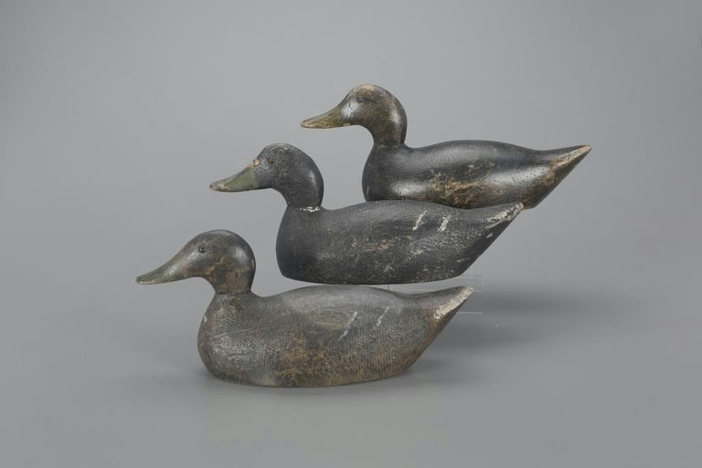 Evans Decoy Company – Three Rare Black Ducks – 2023