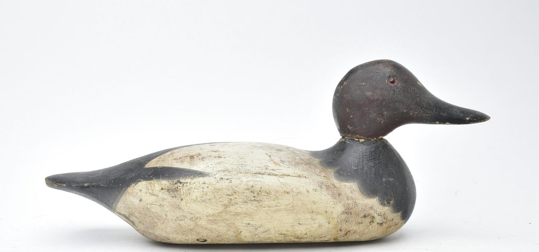 Mason Decoy Factory – Canvasback – 2025