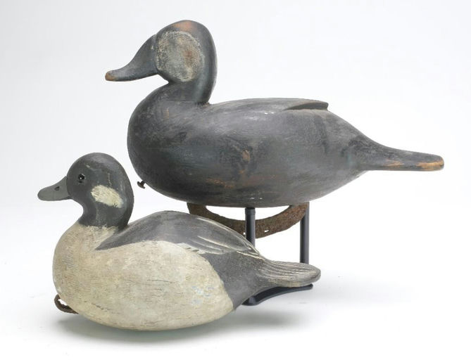 Reggie Birch – Bufflehead – 2023