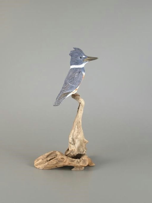 Steve Weaver – Life-Size Belted Kingfisher – 2025