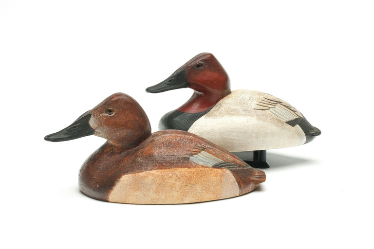 Ferdinand Bach – Pair of Canvasback – 2026