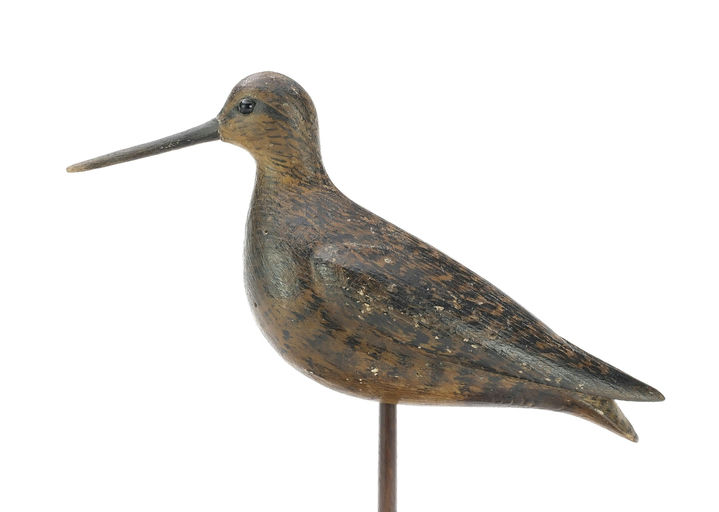Mark McNair – Dowitcher – 2025
