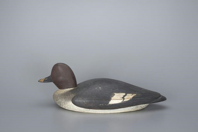 William Harden Foster – Goldeneye Hen – 2017