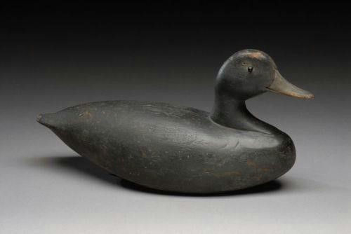 Sam Collins, Jr. – Black Duck – 2007
