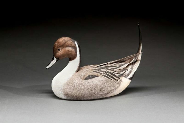 Randy Tull – Pintail Drake – 2015