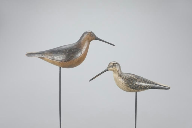 Mark McNair – Two Drop-Wing Dowitcher – 2023