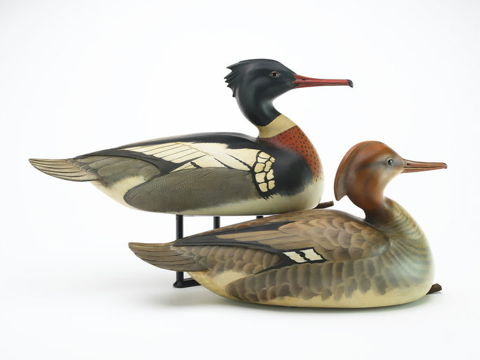 Bill Gibian – Pair of Red-breasted Merganser – 2025