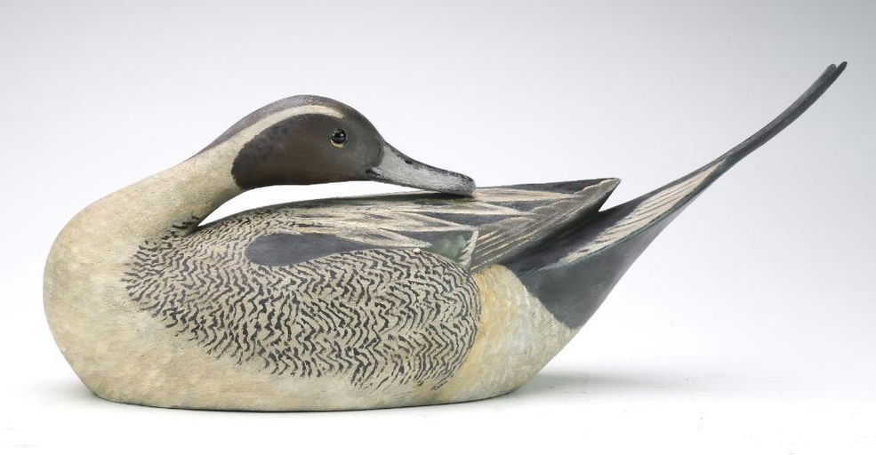 Reggie Birch – Pintail – 2024