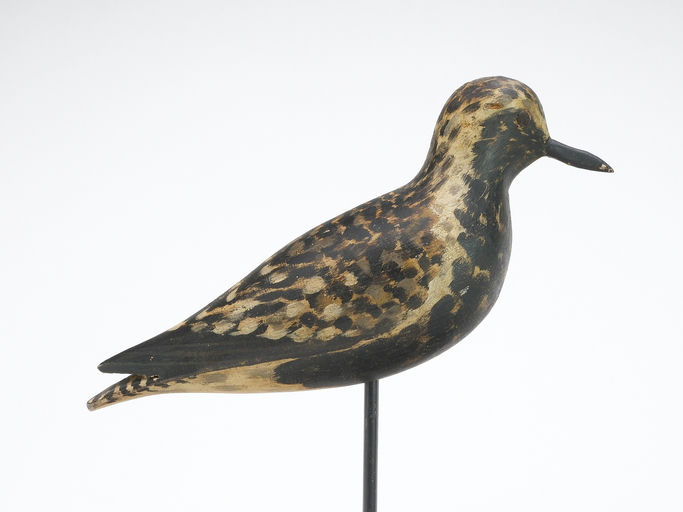 Elmer Crowell – Black Bellied Plover – 2025