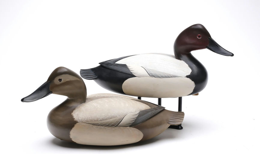George Strunk – Pair of Canvasback – 2026