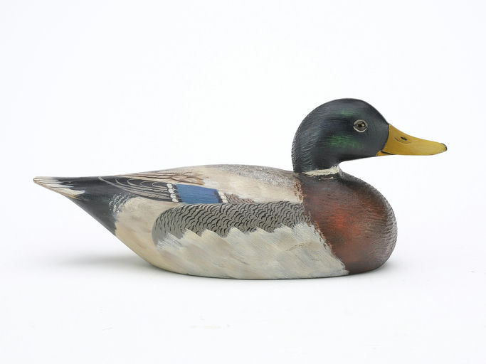 Elmer Crowell – Mallard – 2024