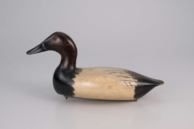 Bert Graves – Canvasback Drake – 2026
