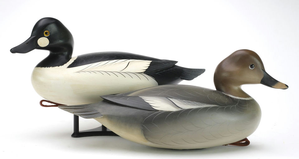 George Strunk – Pair of Goldeneye – 2024