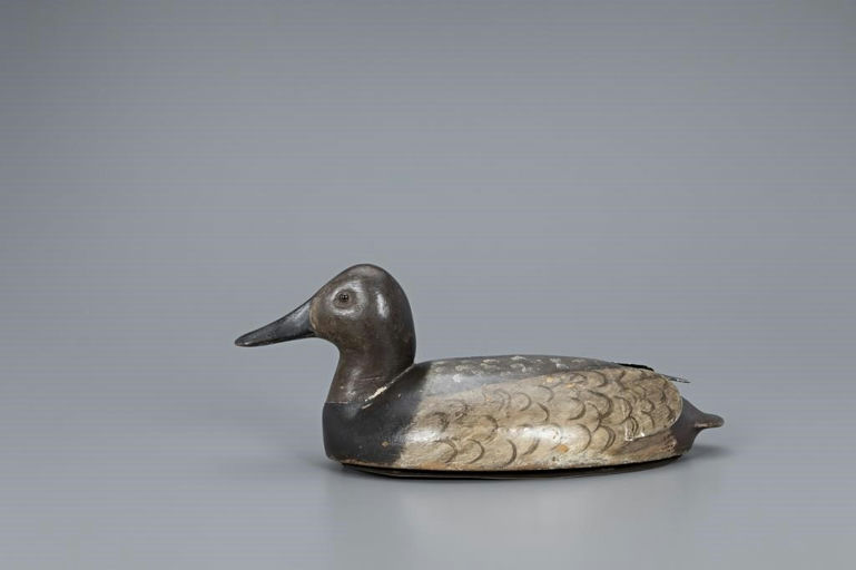 John C. Schweikart – Canvasback Hen – 2019