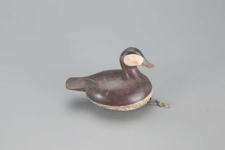 Ian McNair – "pocket" Ruddy Duck – 2021