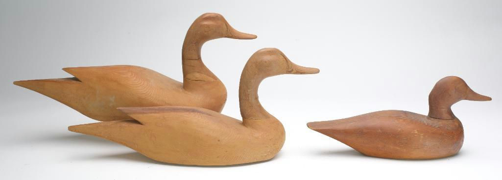 Duncan Ducharme – Pintail – 2023