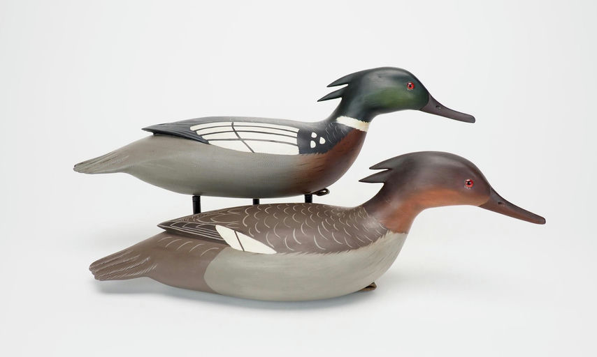 Clarence Fenimore — Merganser Pair
