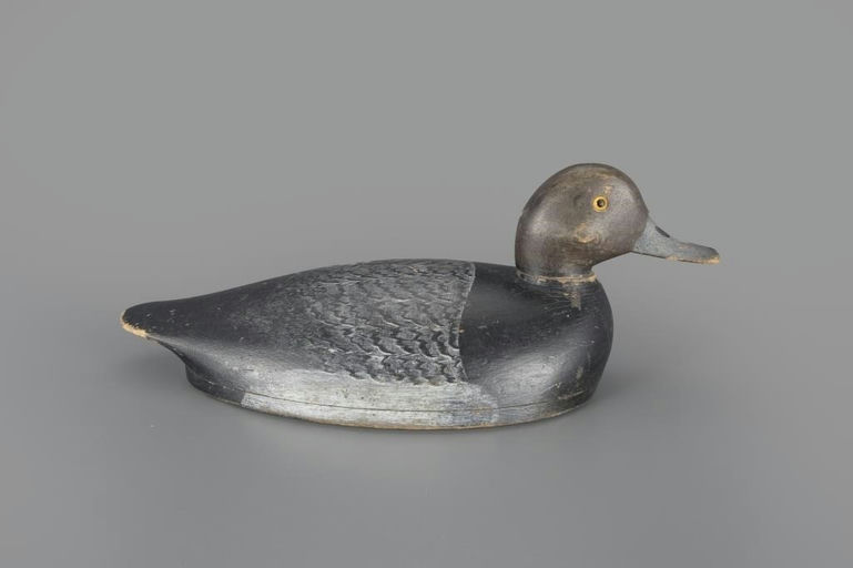 Thomas Dalton – Redhead Drake – 2025