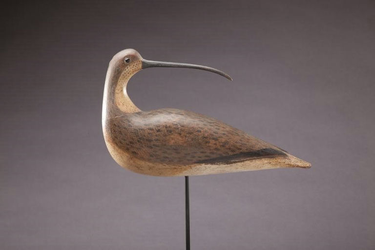 Cameron McIntyre – Long-Billed Curlew – 2012