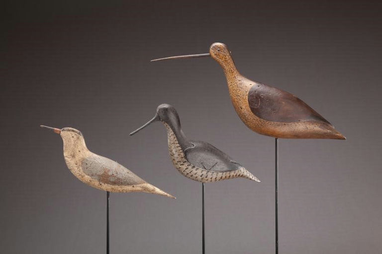 Jamie Reason – Two Shorebirds and A Tern – 2012