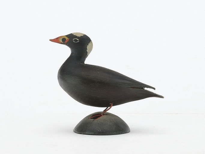 Elmer Crowell – Miniature Surf Scoter – 2024