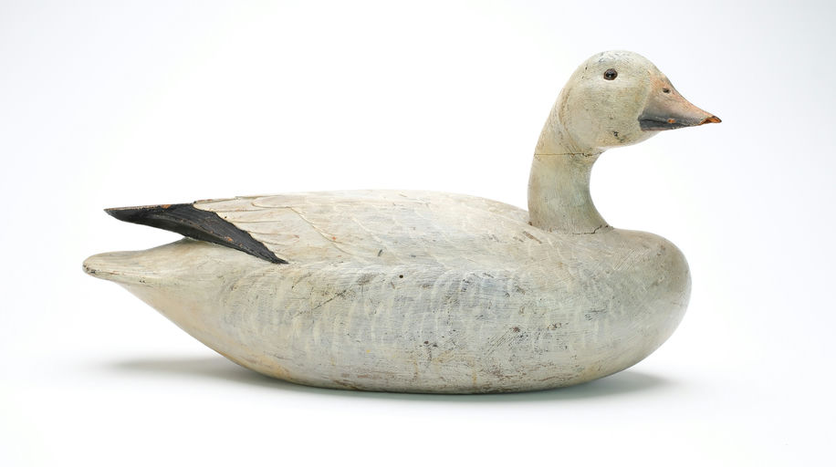 Enoch Reindahl – Snow Goose – 2025