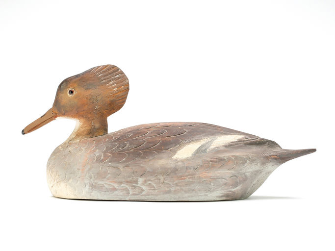 Ben Schmidt – Hooded Merganser – 2025