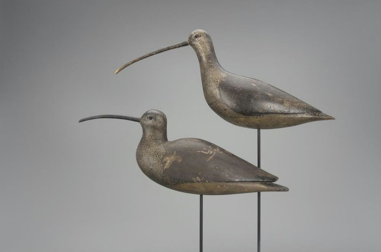 Thomas Gelston – Important Long-Billed Curlew Pair – 2018