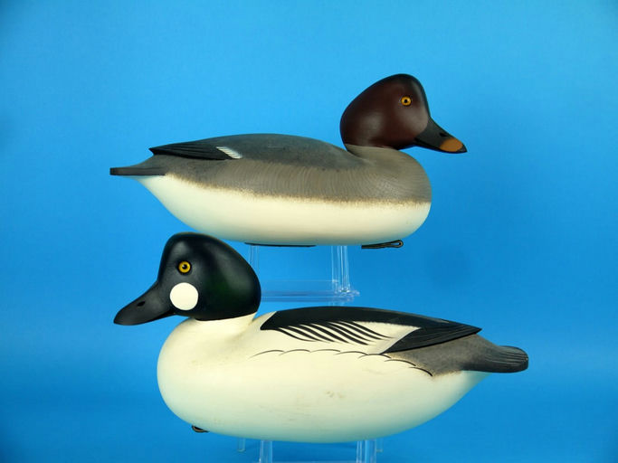 Rick Brown – Goldeneye Pair, – 2026